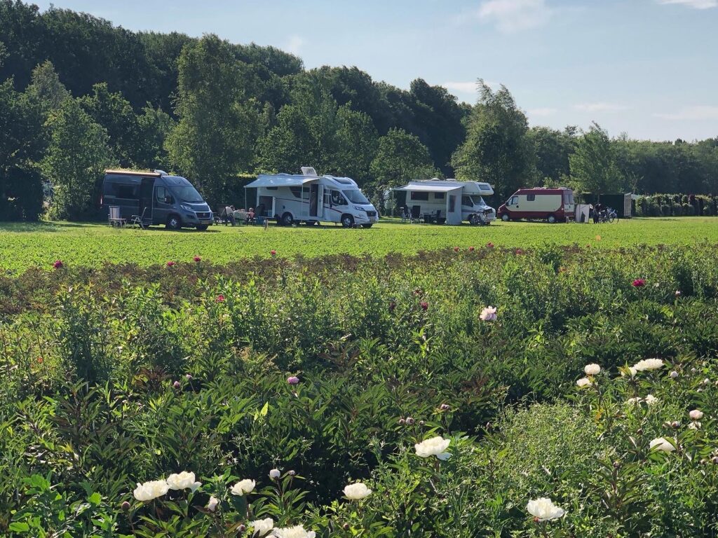 camperplekken bij boerencamping de boergondier Overijssel