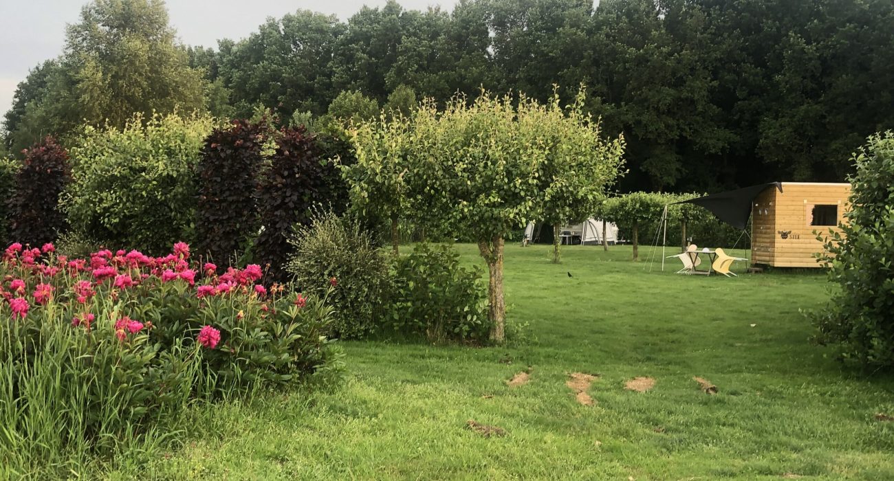 mooie omgeving boerencamping in gemeente Hardenberg, Vechtdal